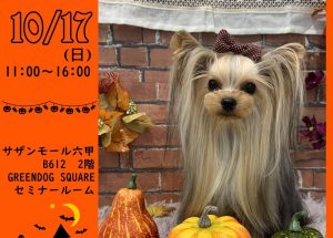 Wandayまーけっと～Halloween～【GREEN DOG SQURE内】