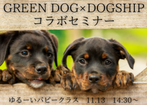 GREENDOG×DOGSHIP　コラボセミナーのお知らせ