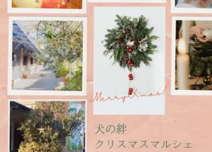 犬の絆クリスマスマルシェ【11/19更新】