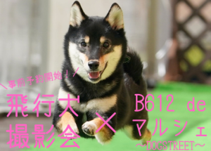 飛行犬撮影会+B612 de マルシェ～DOGSTREET～Vol.38