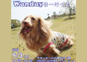 Wandayまーけっと