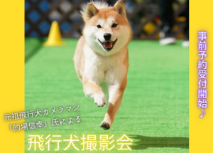 元祖飛行犬カメラマン「的場信幸」氏による飛行犬撮影会