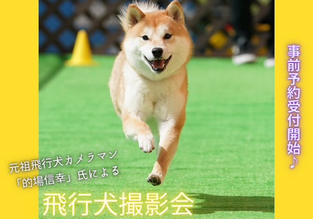 元祖飛行犬カメラマン「的場信幸」氏による飛行犬撮影会 元祖飛行犬カメラマン「的場信幸」氏による飛行犬撮影会