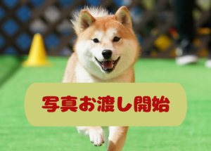 飛行犬写真お渡し開始