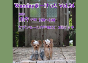 WandayまーけっとVol.24