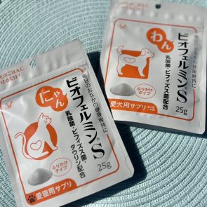 GREEN DOG & CAT 神戸本店のショップニュース