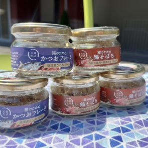 GREEN DOG & CAT 神戸本店のショップニュース