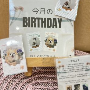 GREEN DOG & CAT 神戸本店のショップニュース