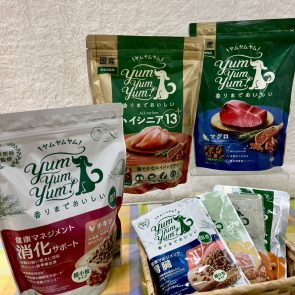 GREEN DOG & CAT 神戸本店のショップニュース