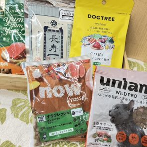 GREEN DOG & CAT 神戸本店のショップニュース