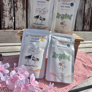 GREEN DOG & CAT 神戸本店のショップニュース