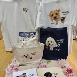 GREEN DOG & CAT 神戸本店のショップニュース