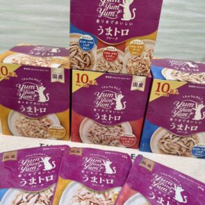 GREEN DOG & CAT 神戸本店のショップニュース